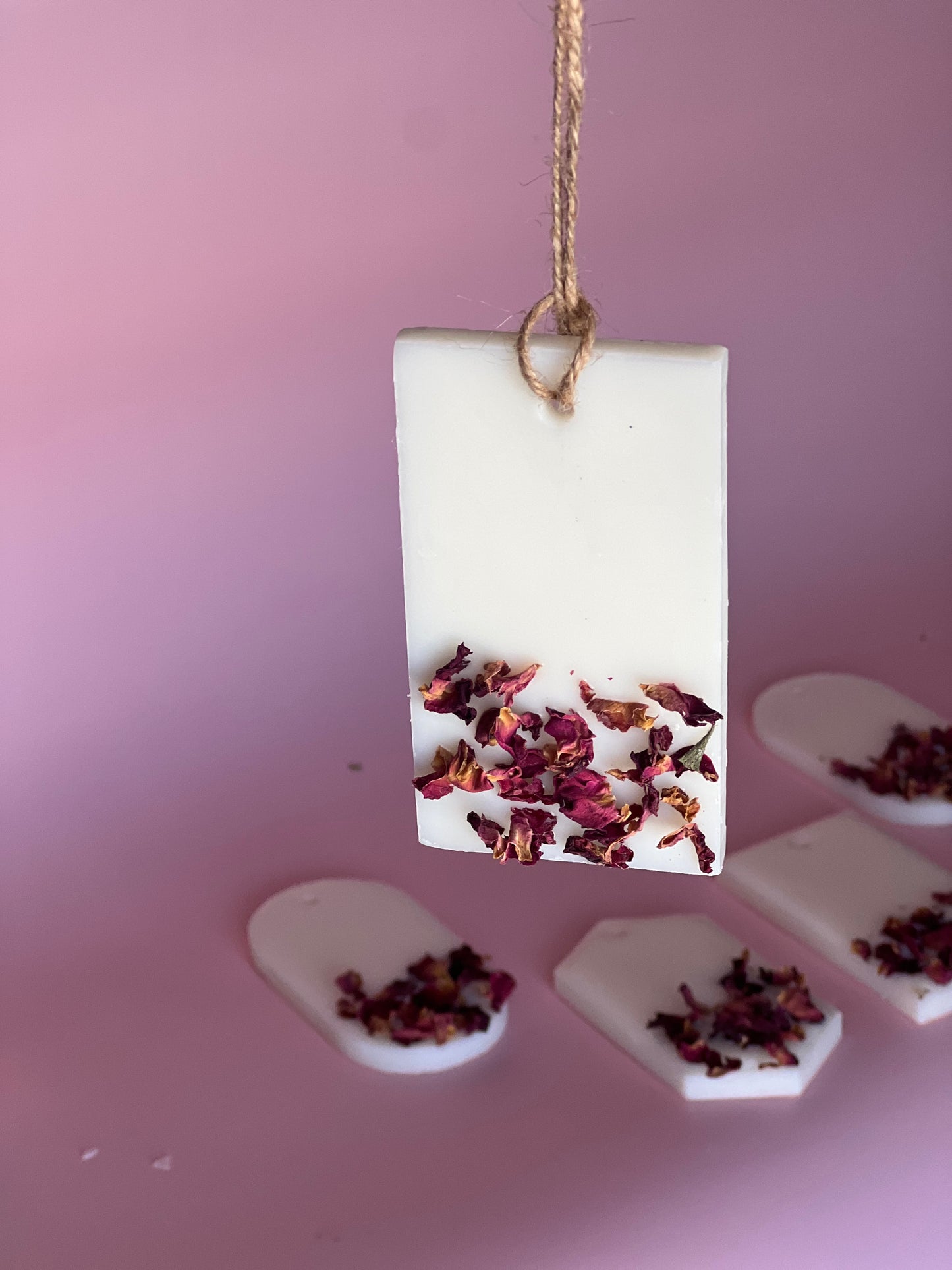 Closet air fresheners ✨