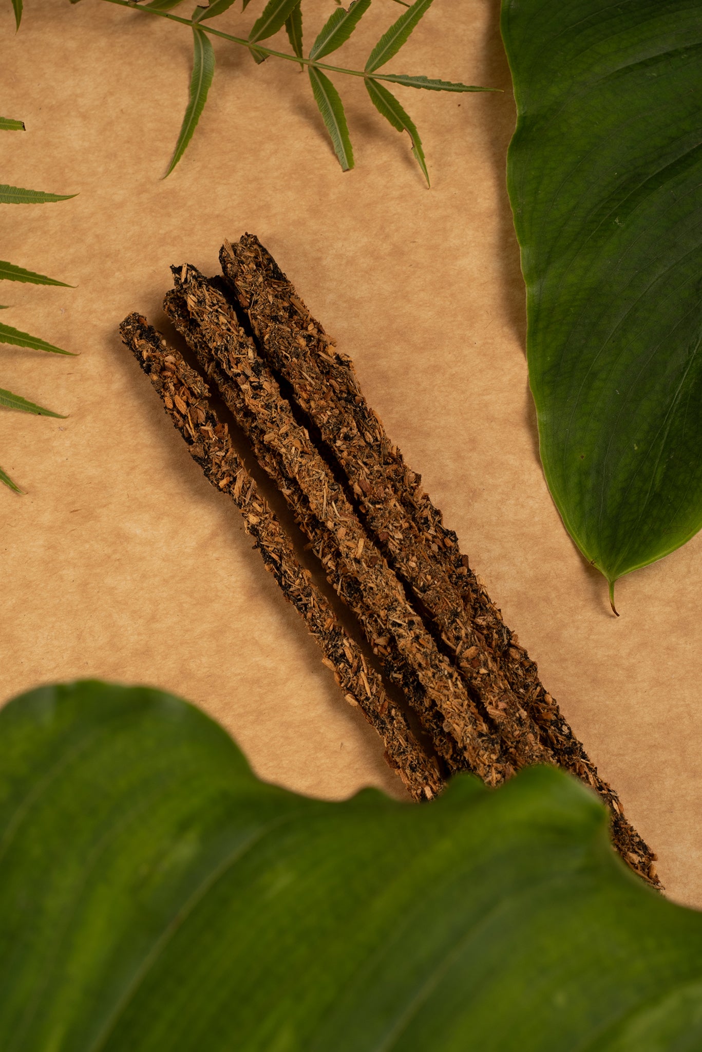 🌍 TIERRA - Armonía