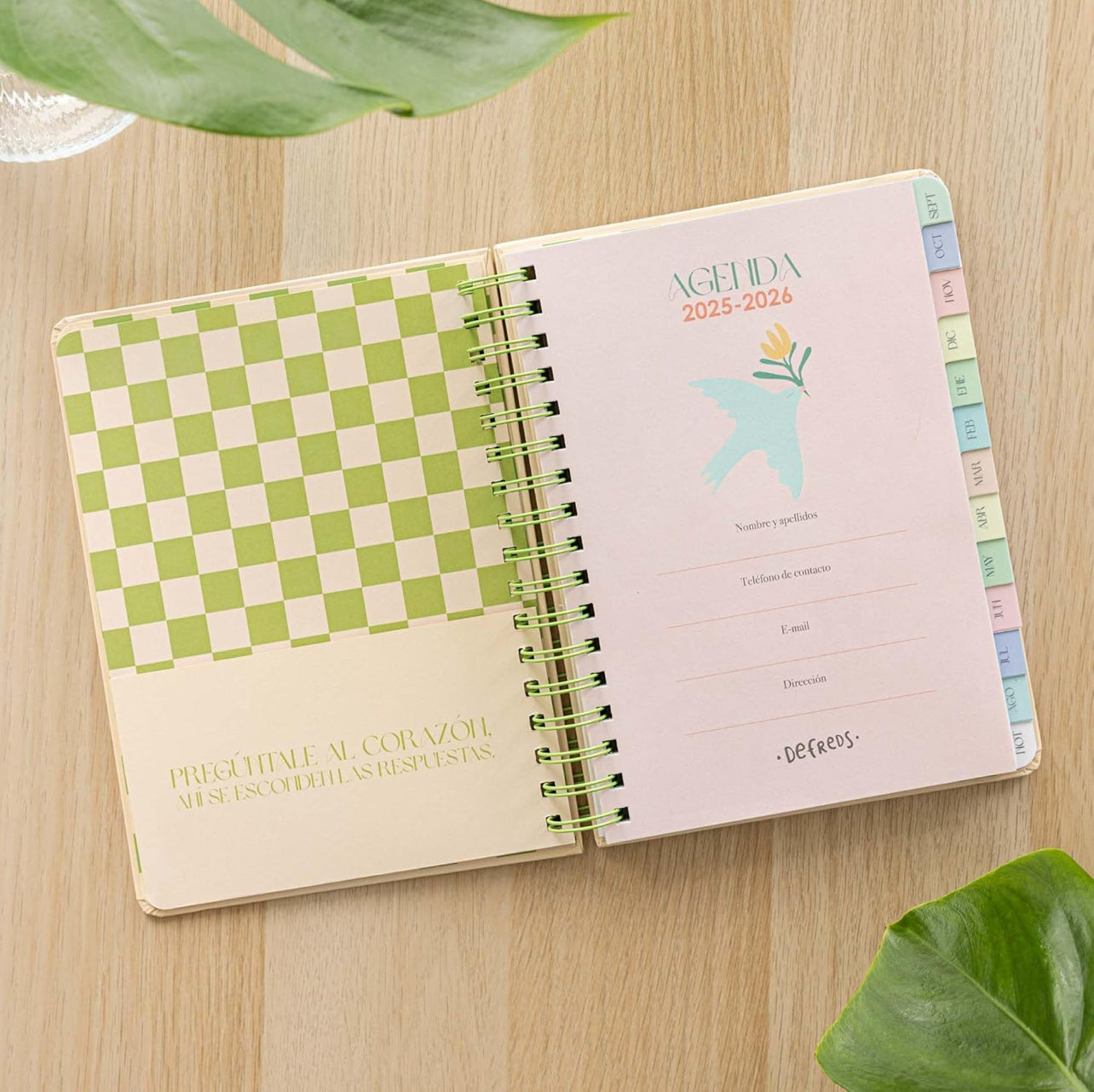 Agenda semanal Regala Tiempo - Defreds 💘