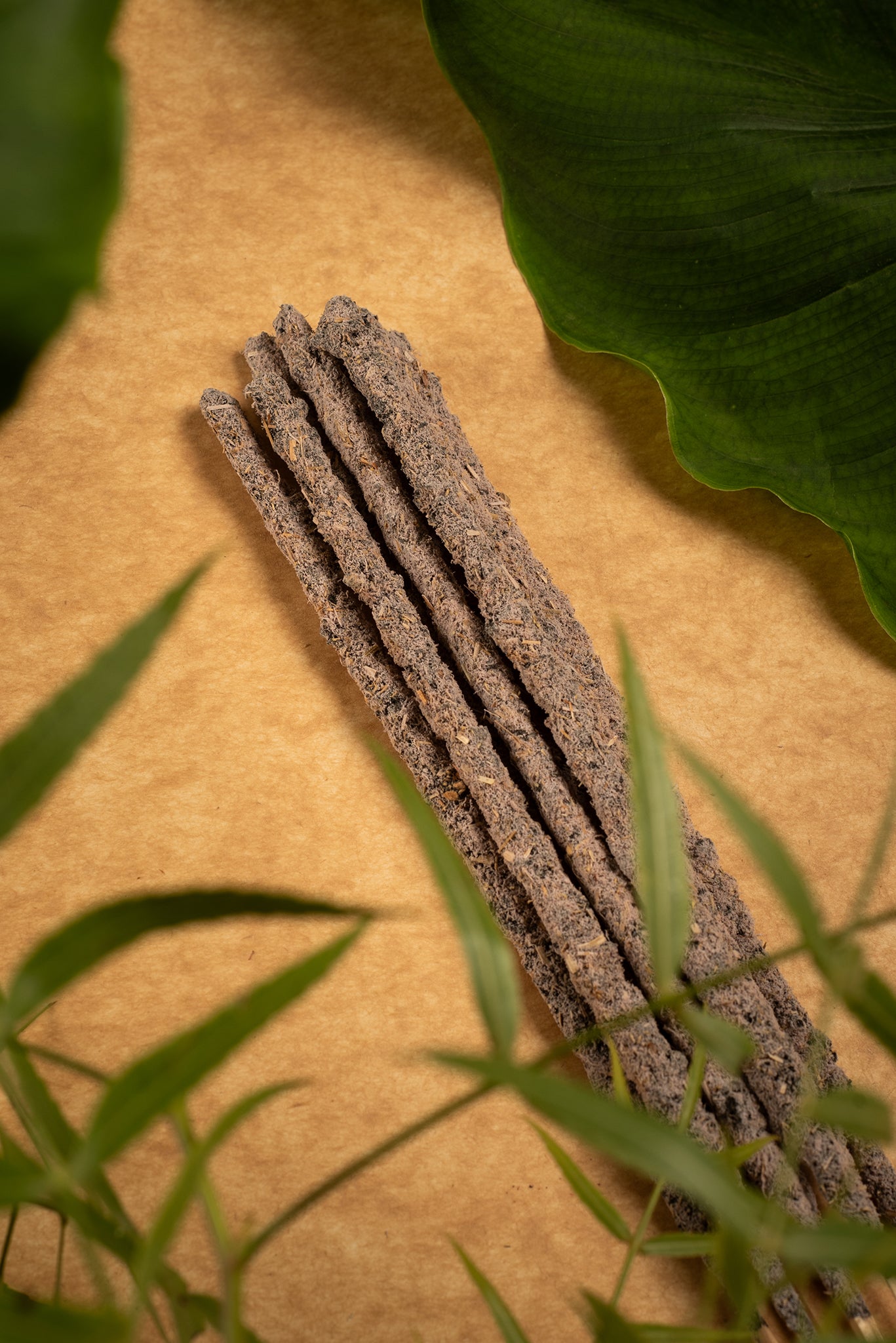 🌬️ AIRE - Alegría