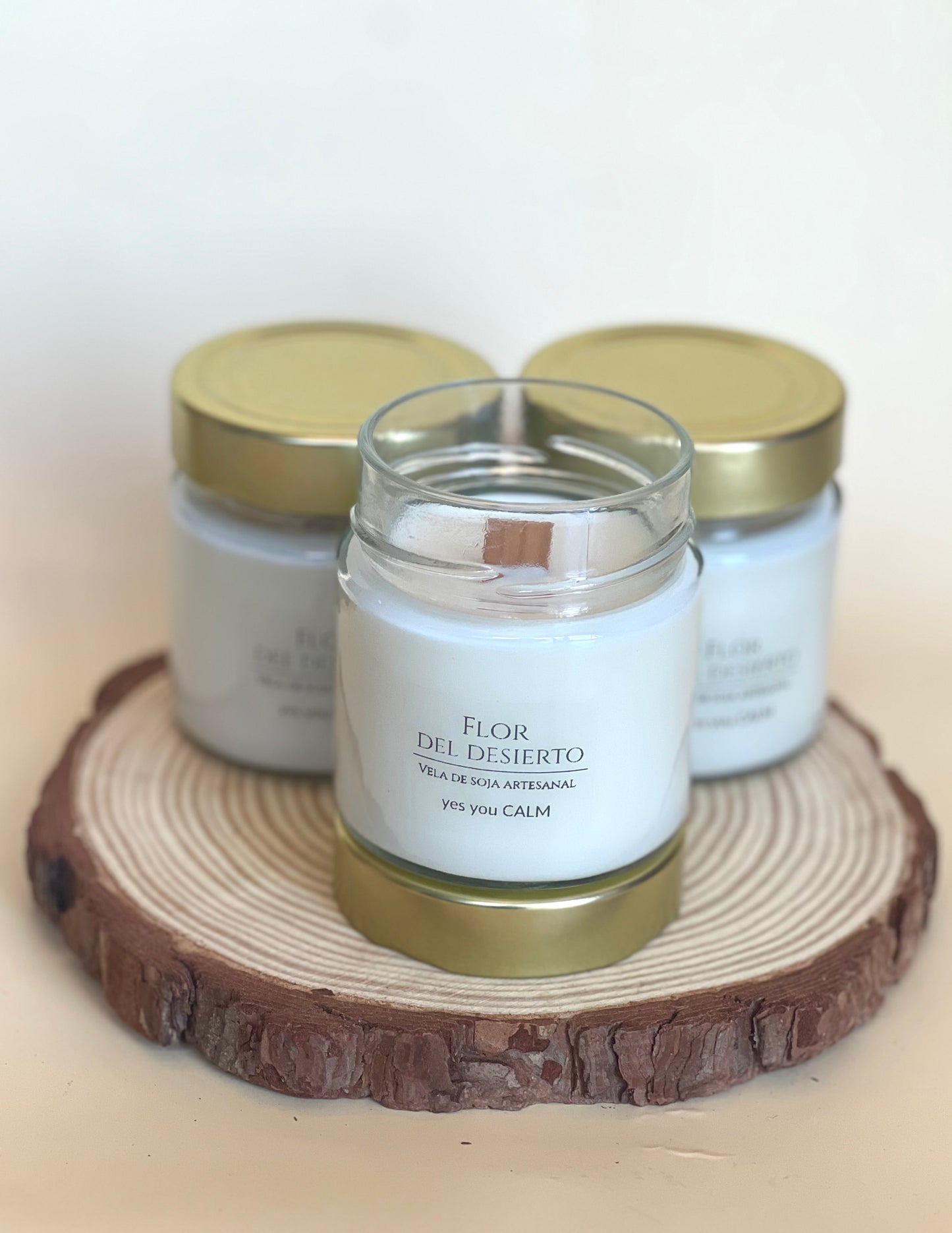 Flor del Desierto 🌸