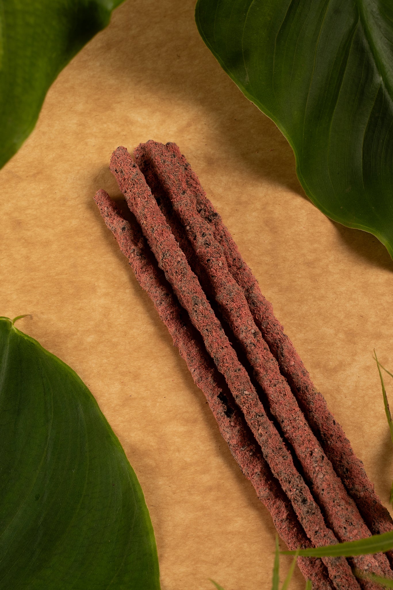 🔥 FUEGO – Fuerza