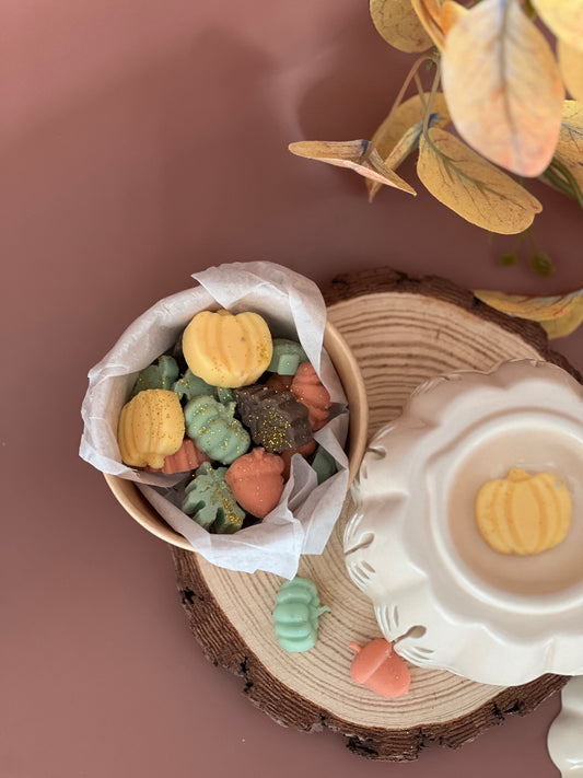 Wax melts pumpkin Spice 🥮