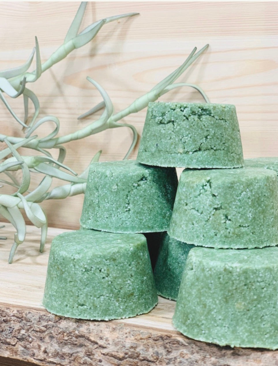 Champú Sólido Aloe y Manzanilla -