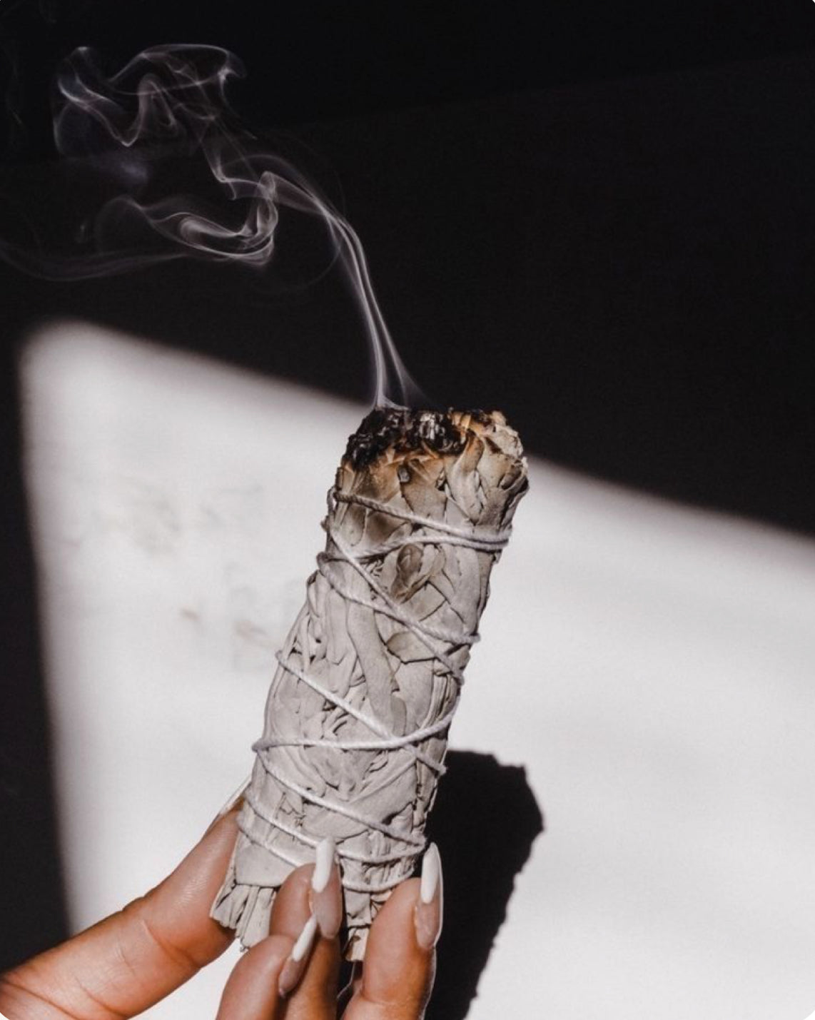 🌿 Salvia Blanca – Limpieza Energética