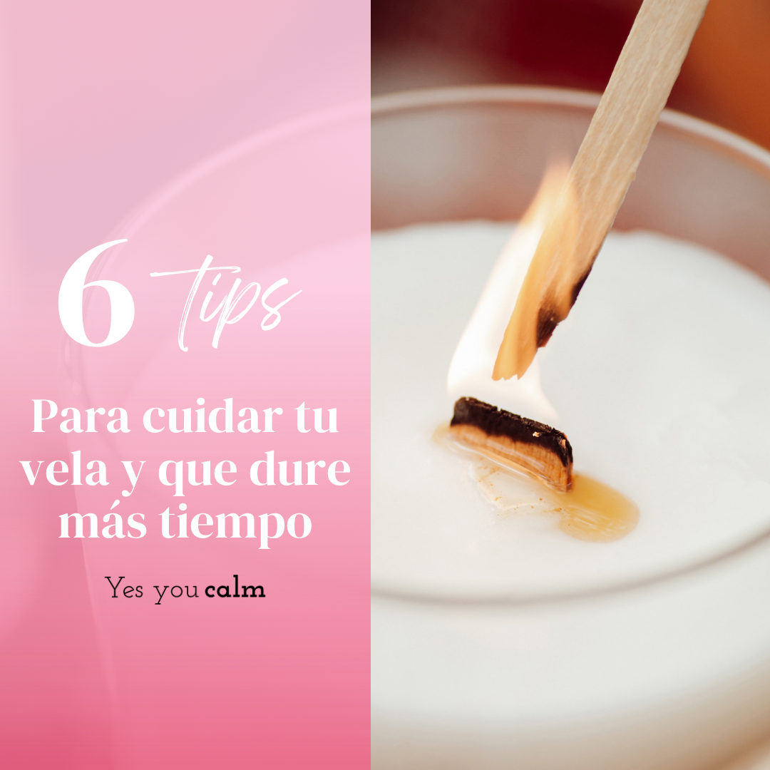 Cuida de tus compañeras de vida💗