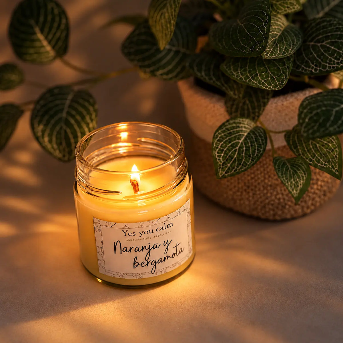 Vela aromática Yes You Calm de naranja y bergamota encendida junto a una planta