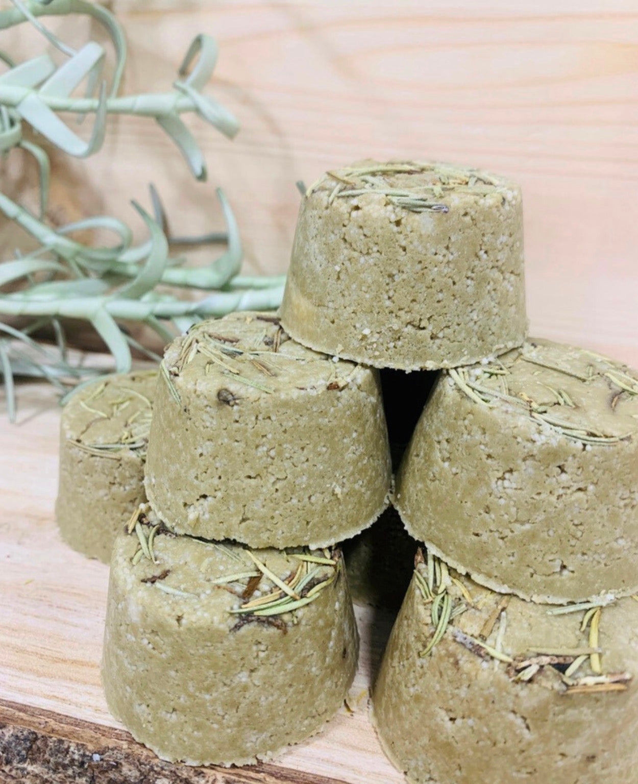 Champú Sólido - Árbol de té y Romero 🌱 (cabello graso)