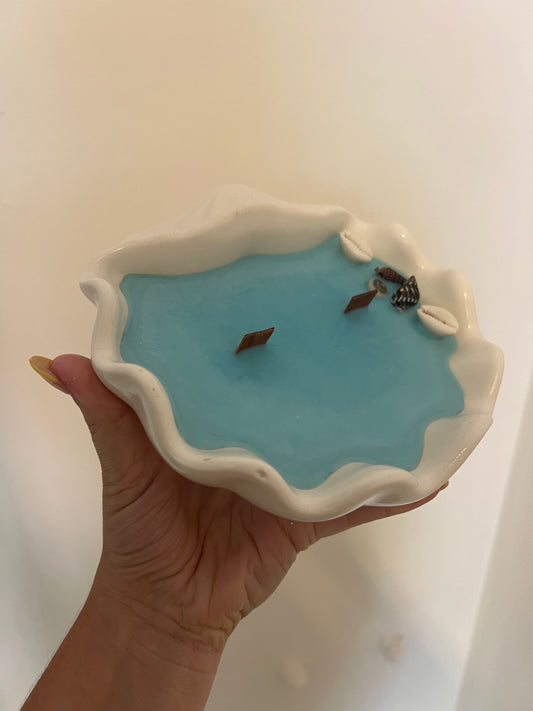 OUTLET concha marina 🩷