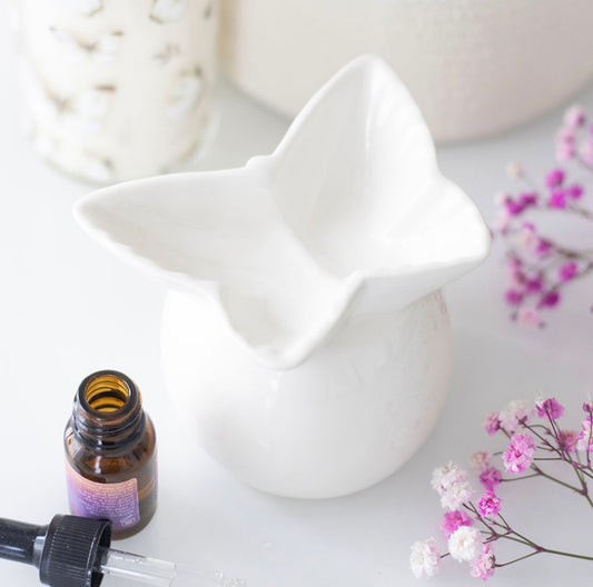 Quemador Butterfly 🦋