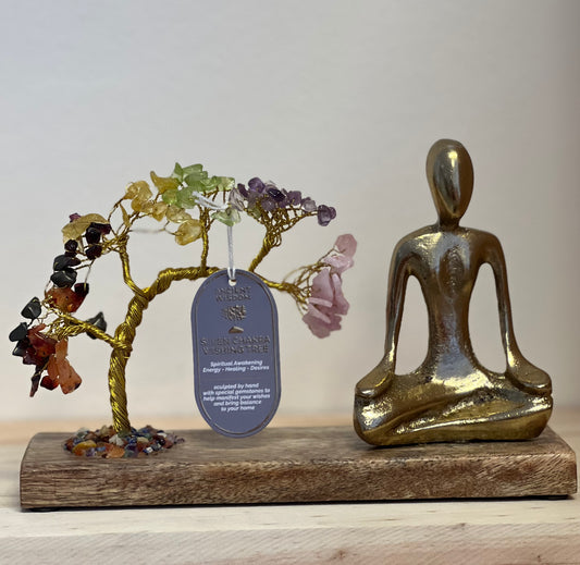 Jardín mágico de Yoga - 7 Chakras 💫
