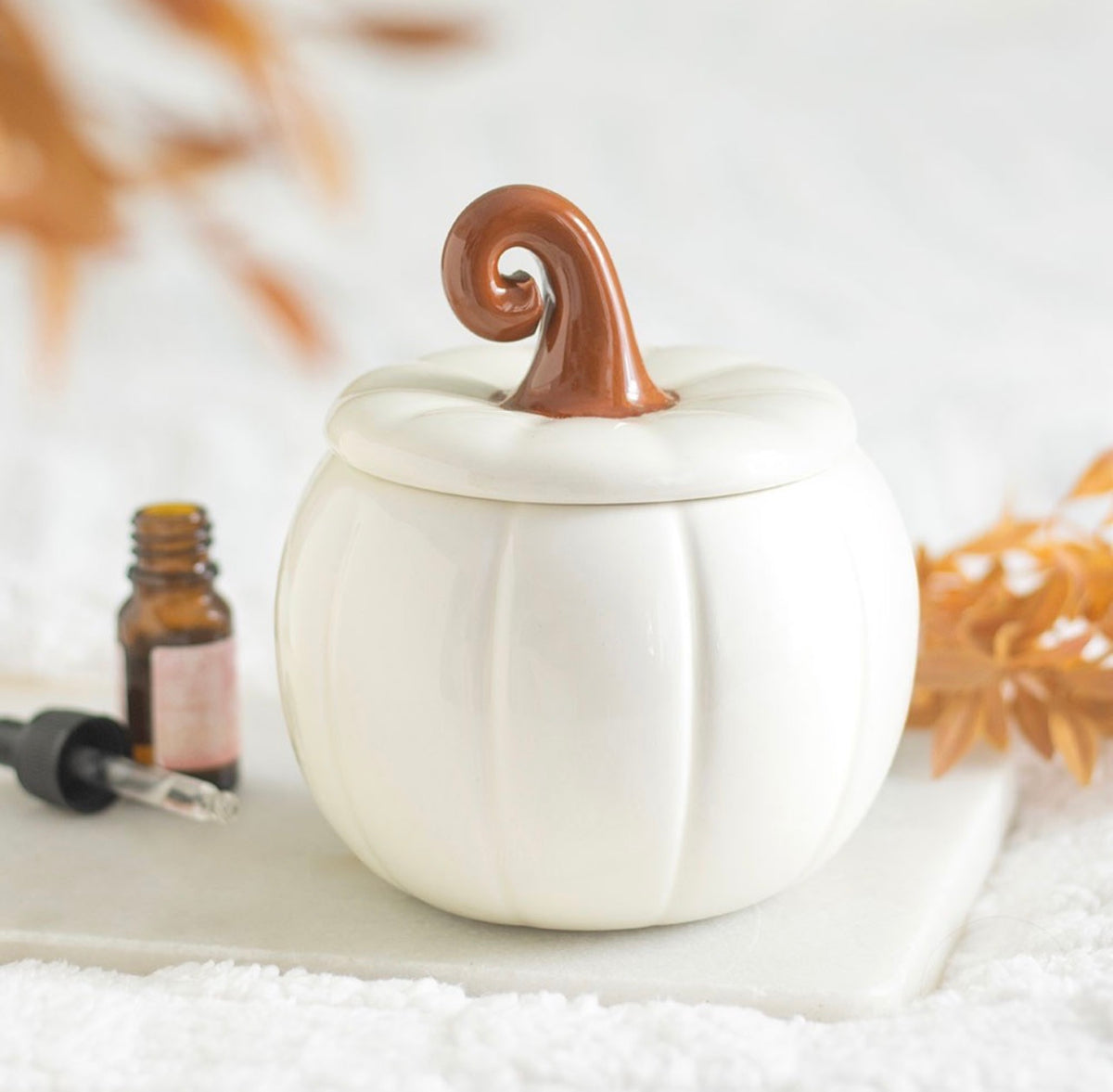 Quemador - Curly Pumpkin